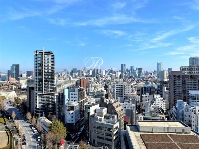 パークコート渋谷ザタワー 1DK・1LDK 物件画像20