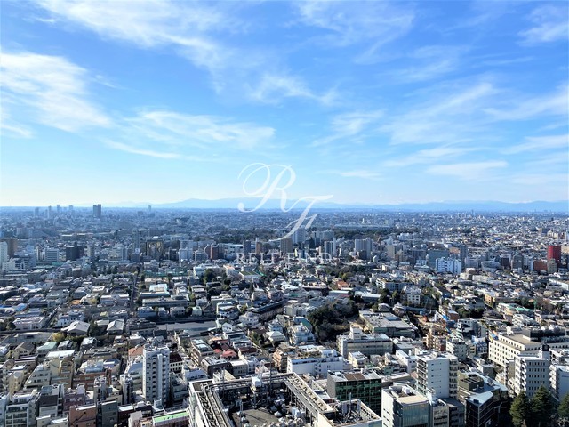 パークコート渋谷ザタワー 3LDK以上 物件画像20