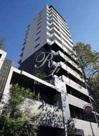 マルラニ南青山 物件画像