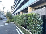 ドゥーエ早稲田 ドゥーエ早稲田8