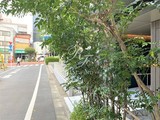 アーバネックス市谷柳町 アーバネックス市谷柳町8