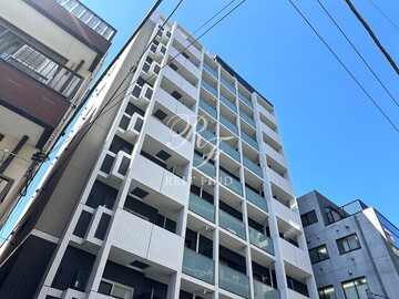 グレースランド グレースランド1