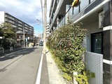 ドゥーエ大鳥居ウエスト ドゥーエ大鳥居ウエスト16