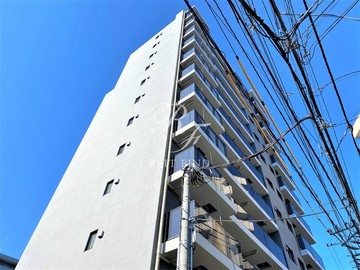 OPEN BLOOM SUMIDA YAHIRO OPEN BLOOM SUMIDA YAHIRO1