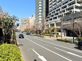 トルナーレ日本橋浜町 トルナーレ日本橋浜町10