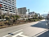 トルナーレ日本橋浜町 トルナーレ日本橋浜町8