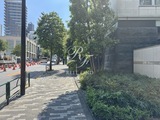 プレミスト南青山 プレミスト南青山18