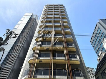 animo kudan animo kudan1