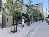 グランドシティタワー月島 共用部 物件画像8