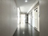 エコロジー東陽町プロセンチュリー 共用部 物件画像11