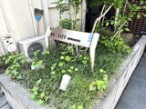 レアライズ秋葉原 レアライズ秋葉原11
