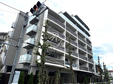 レスピール蓮根 レスピール蓮根1