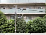 ウェルスクエア渋谷本町 1DK・1LDK 物件画像20