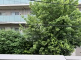 ウェルスクエア渋谷本町 1DK・1LDK 物件画像20
