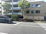 コンフォリア・リヴ永福町 コンフォリア・リヴ永福町9