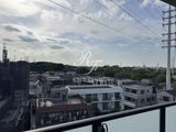 コンフォリア・リヴ永福町 1DK・1LDK 物件画像20