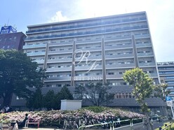 おすすめ画像3