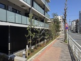ウエリスアーバン住吉イースト 共用部 物件画像3