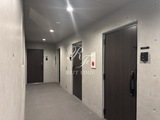 プロスタイルウェルス亀戸水神 共用部 物件画像11