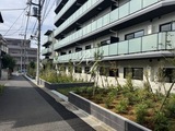 エスレジデンス板橋大山クレール エスレジデンス板橋大山クレール11