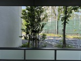 エスレジデンス駒場東大前 1DK・1LDK 物件画像20