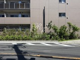 アーバンパーク船堀2 アーバンパーク船堀Ⅱ9