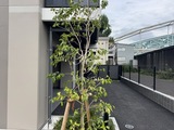 エスレジデンス千住大橋ブロード 共用部 物件画像9