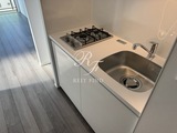 エスグランデ錦糸町ザ・クラス 1DK・1LDK 物件画像10