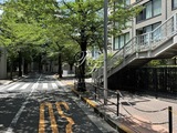パークコート赤坂桜坂 パークコート赤坂桜坂19