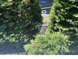パークマンション鳥居坂 3LDK以上 物件画像6