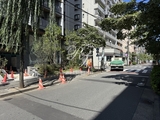 ザ・パークハビオSOHO新宿御苑 外観 物件画像17