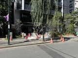 ザ・パークハビオSOHO新宿御苑 外観 物件画像7