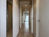 アーバネックス住吉 3LDK以上 物件画像1