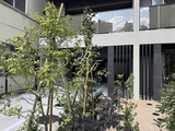 HAYANO Residence 大塚 HAYANO Residence 大塚12