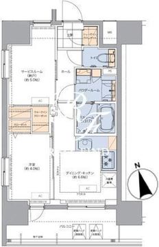 トラディティオ門前仲町 1101 間取り図