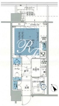 シティタワー新宿 1913 間取り図