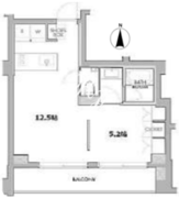 エスセナーリオ牛込柳町 302 間取り図