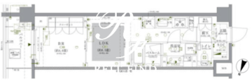 ドゥーエ早稲田 521 間取り図