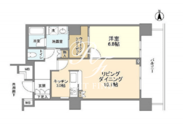 豊洲シエルタワー 716 間取り図