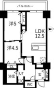 シティコート目黒 4-505 間取り図
