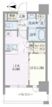 ライトテラス浅草 503 間取り図