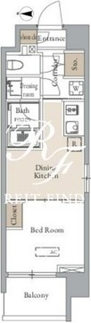 グランカーサ四谷 507 間取り図