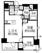 クリオラベルヴィ新富町 203 間取り図