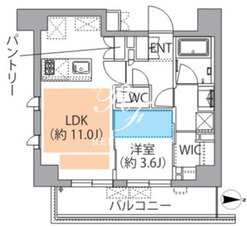 レスピール蓮根 502 間取り図