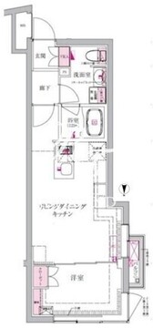 ベルシードステアー西早稲田 301 間取り図