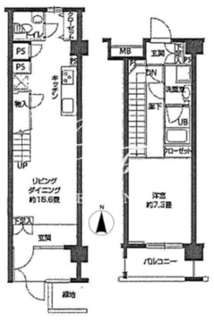 ニューシティアパートメンツ亀戸 211 間取り図