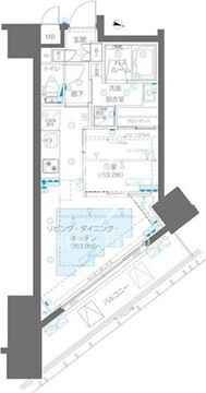 ズーム新宿御苑前 1104 間取り図