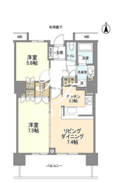 豊洲シエルタワー 909 間取り図