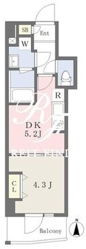 ミレドゥーエ神楽坂 502 間取り図