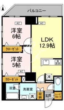 ドリーム神楽坂 503 間取り図